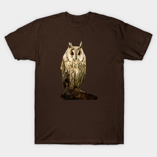 Long Eared Owl T-Shirt